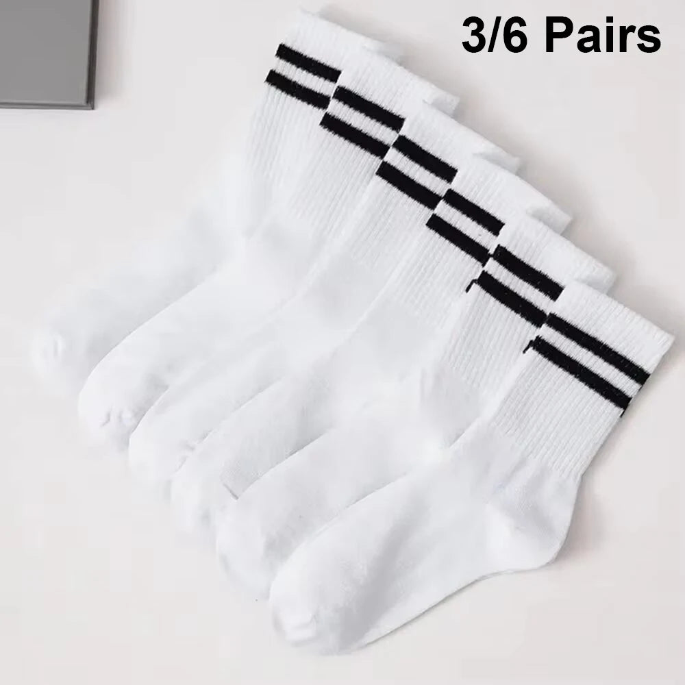 S085d83bd232946ba8c0cad2399c8adae0